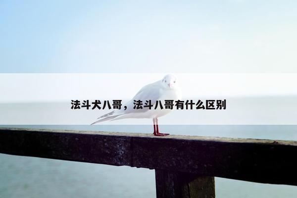 法斗犬八哥，法斗八哥有什么区别