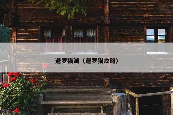 斑点