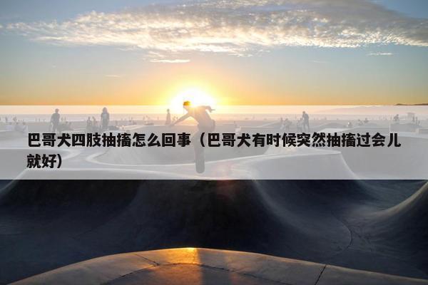 巴哥犬四肢抽搐怎么回事（巴哥犬有时候突然抽搐过会儿就好）