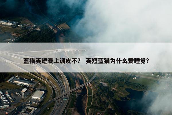 蓝猫英短晚上调皮不？ 英短蓝猫为什么爱睡觉？