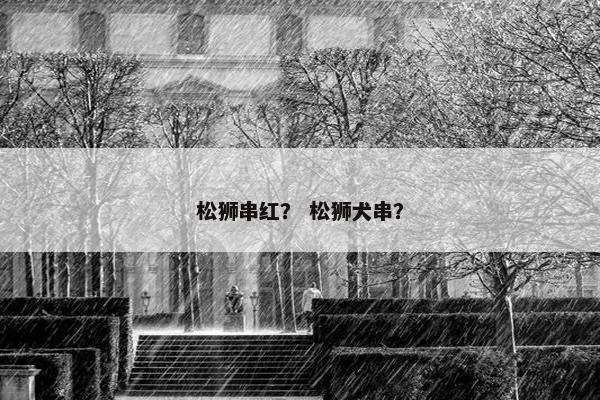 松狮串红？ 松狮犬串？