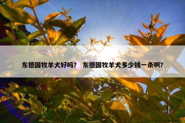 东德国牧羊犬好吗？ 东德国牧羊犬多少钱一条啊？