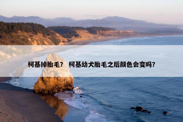 柯基掉胎毛？ 柯基幼犬胎毛之后颜色会变吗？