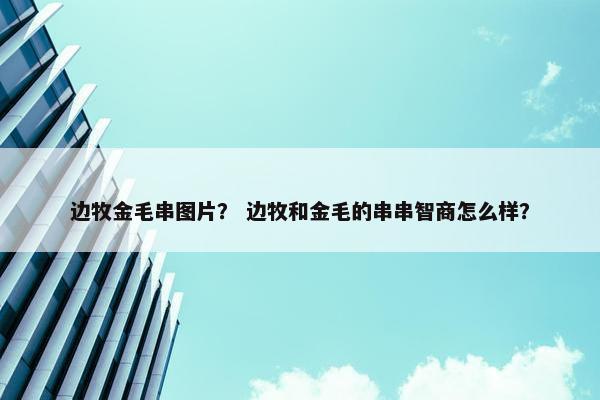 金毛 第14页