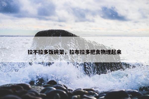 拉不拉多饭碗架，拉布拉多把食物埋起来
