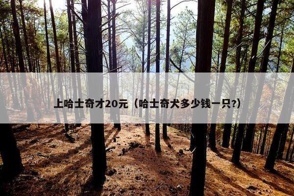 上哈士奇才20元（哈士奇犬多少钱一只?）
