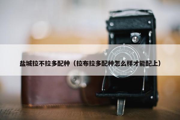 盐城拉不拉多配种（拉布拉多配种怎么样才能配上）