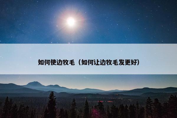 如何使边牧毛（如何让边牧毛发更好）