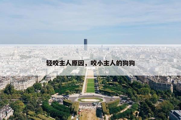 轻咬主人原因，咬小主人的狗狗