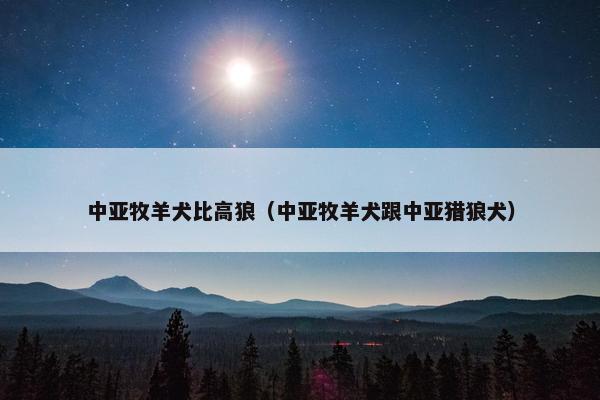 中亚牧羊犬比高狼（中亚牧羊犬跟中亚猎狼犬）