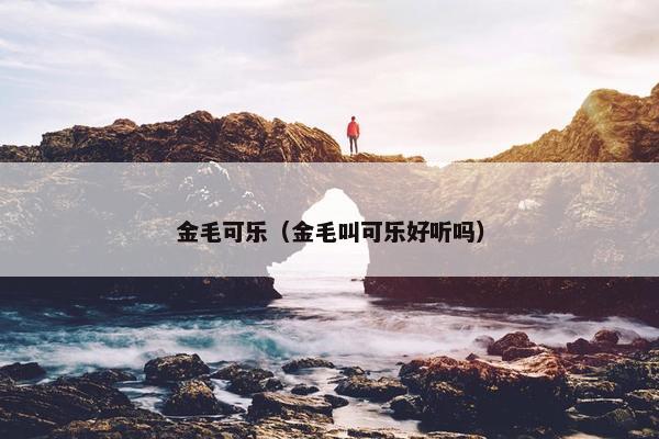 金毛可乐（金毛叫可乐好听吗）