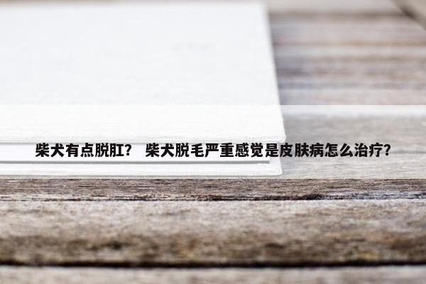 柴犬有点脱肛？ 柴犬脱毛严重感觉是皮肤病怎么治疗？
