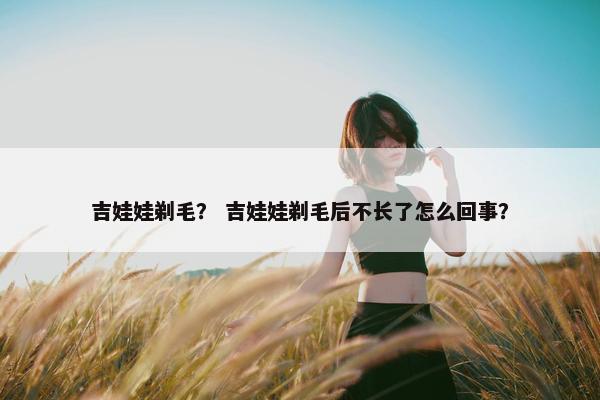 吉娃娃剃毛？ 吉娃娃剃毛后不长了怎么回事？