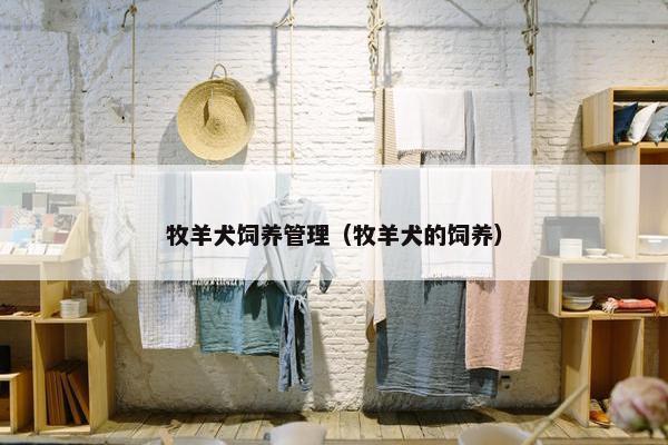 牧羊犬饲养管理（牧羊犬的饲养）