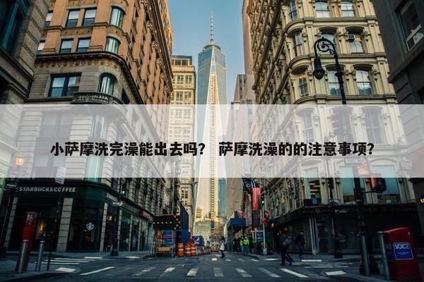 小萨摩洗完澡能出去吗？ 萨摩洗澡的的注意事项？