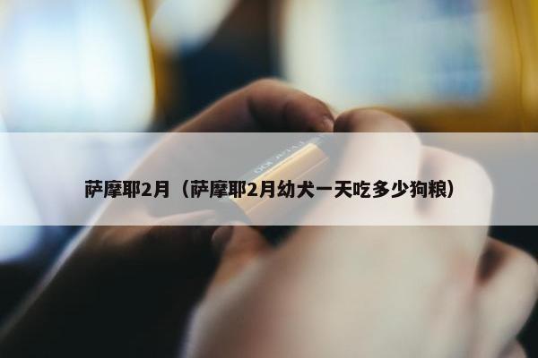 萨摩耶2月（萨摩耶2月幼犬一天吃多少狗粮）