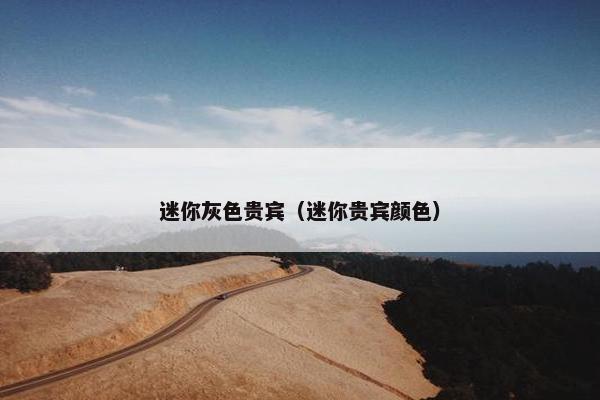 迷你灰色贵宾（迷你贵宾颜色）