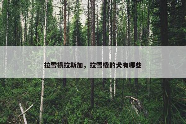 拉雪橇拉斯加，拉雪橇的犬有哪些