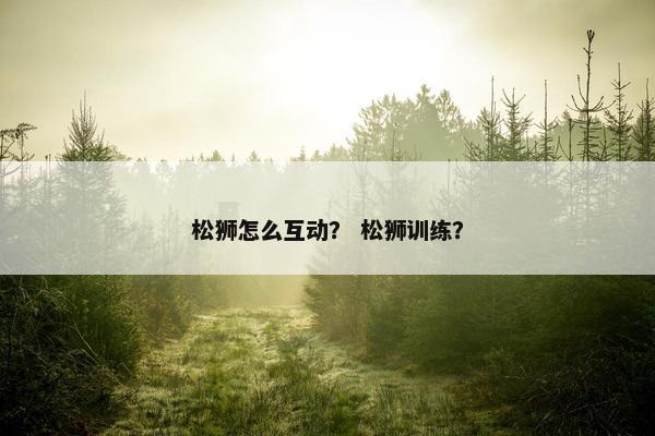 松狮怎么互动？ 松狮训练？