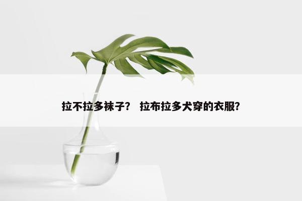 出来