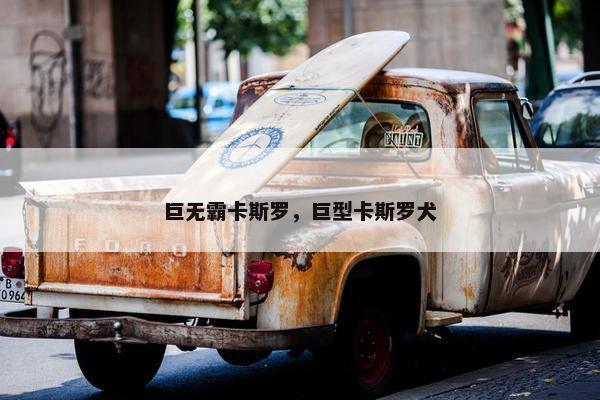 卡斯罗 第8页