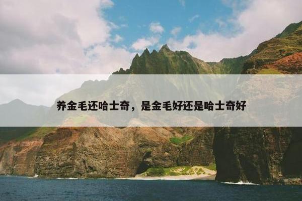 养金毛还哈士奇，是金毛好还是哈士奇好