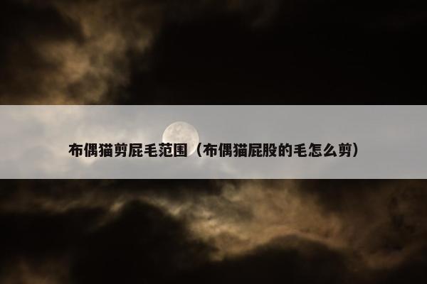 布偶猫剪屁毛范围（布偶猫屁股的毛怎么剪）