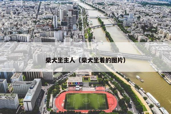 柴犬坐主人（柴犬坐着的图片）
