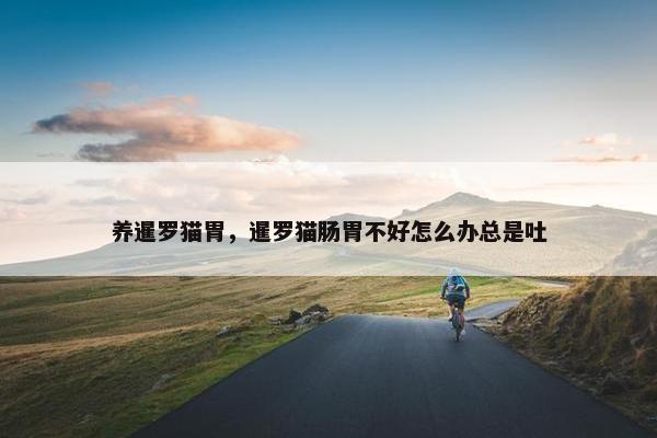 养暹罗猫胃，暹罗猫肠胃不好怎么办总是吐