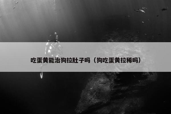 吃蛋黄能治狗拉肚子吗（狗吃蛋黄拉稀吗）