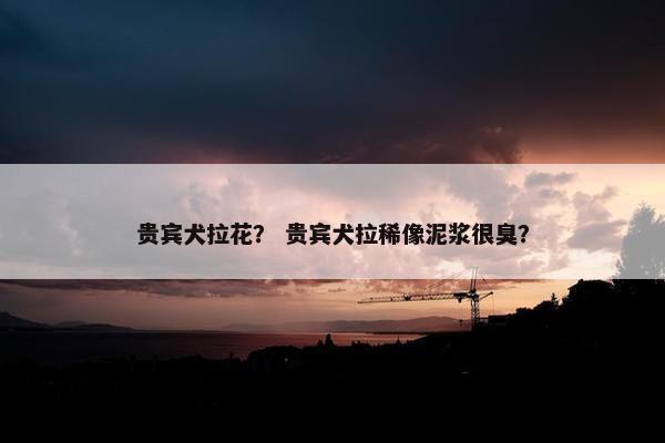 贵宾犬拉花？ 贵宾犬拉稀像泥浆很臭？
