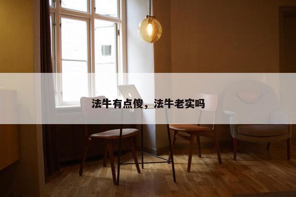 法牛 第8页