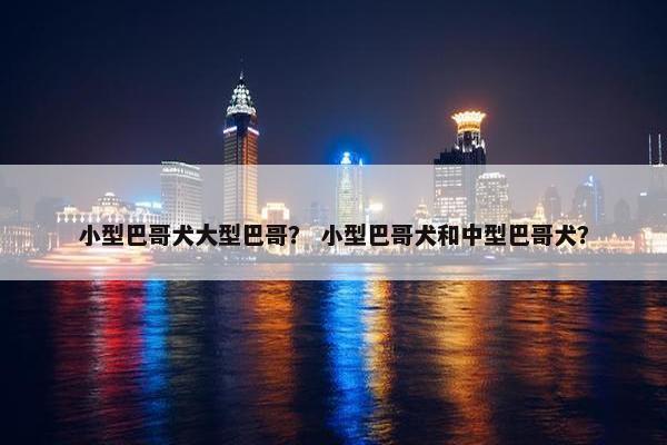 小型巴哥犬大型巴哥？ 小型巴哥犬和中型巴哥犬？