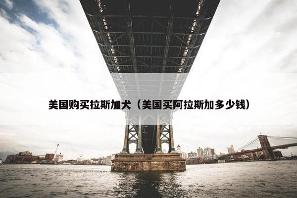 美国购买拉斯加犬（美国买阿拉斯加多少钱）