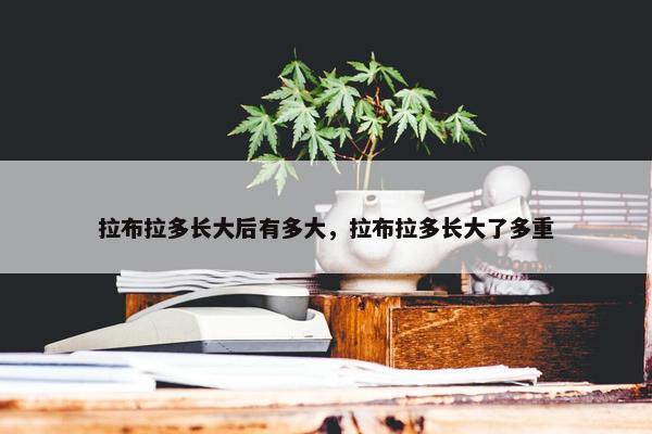 拉布拉多长大后有多大，拉布拉多长大了多重