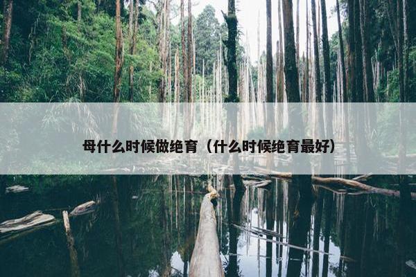 母什么时候做绝育（什么时候绝育最好）