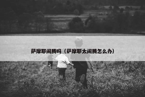 萨摩耶闹腾吗（萨摩耶太闹腾怎么办）