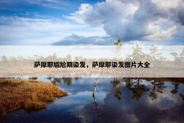 萨摩耶尴尬期染发，萨摩耶染发图片大全