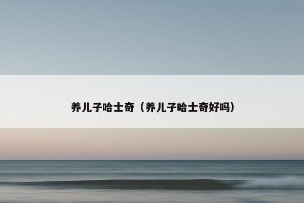 哈士奇 第9页