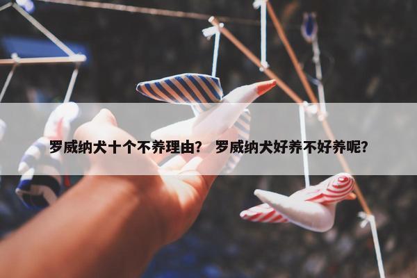 罗威纳犬十个不养理由？ 罗威纳犬好养不好养呢？