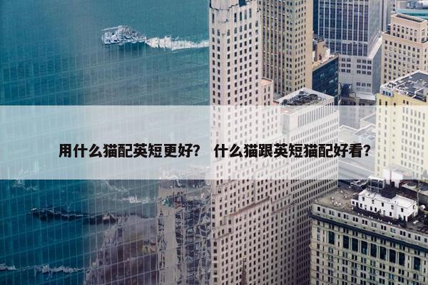 用什么猫配英短更好？ 什么猫跟英短猫配好看？