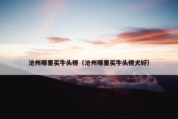沧州哪里买牛头梗（沧州哪里买牛头梗犬好）