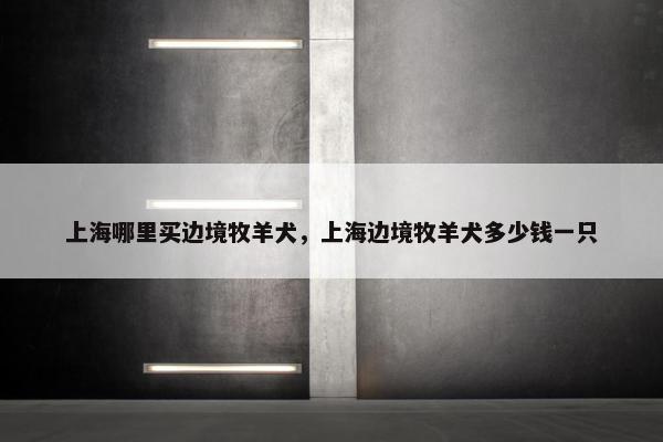 牧羊犬 第8页