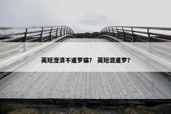 英短澄清不暹罗猫？ 英短混暹罗？