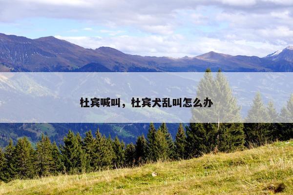 杜宾喊叫，杜宾犬乱叫怎么办
