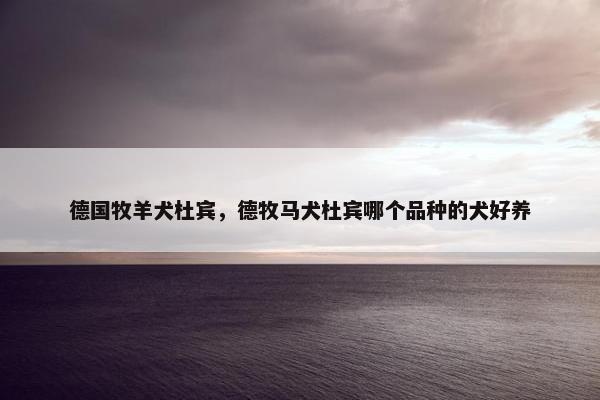 德国牧羊犬杜宾，德牧马犬杜宾哪个品种的犬好养
