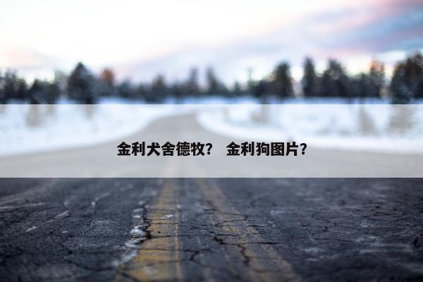 金利犬舍德牧？ 金利狗图片？
