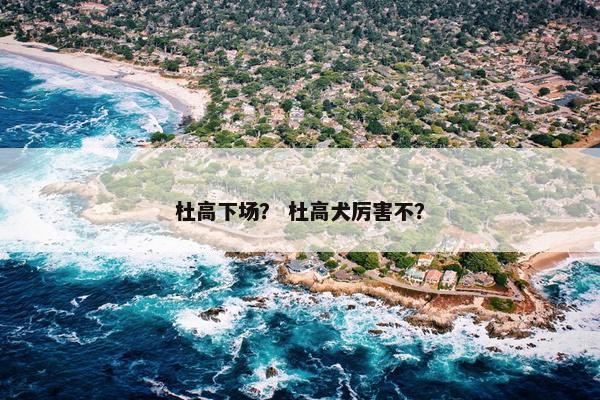 杜高下场？ 杜高犬厉害不？