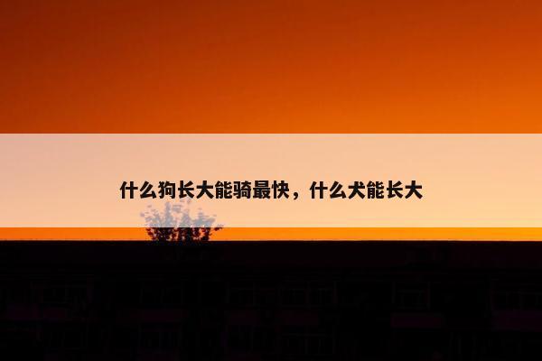 什么狗长大能骑最快，什么犬能长大