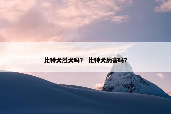 比特犬烈犬吗？ 比特犬历害吗？